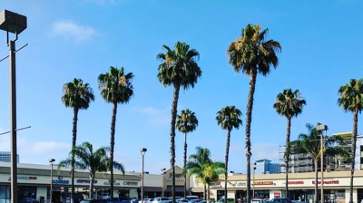 Low Slope Roof Photo